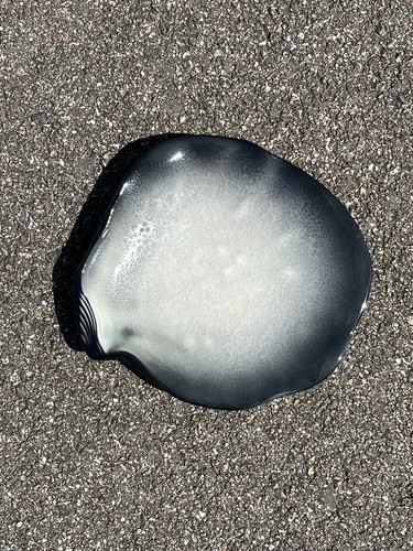 Assiette coquillage céramique