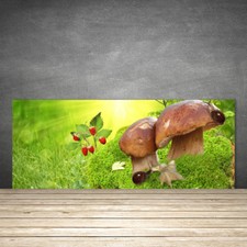 Crédence de cuisine en verre