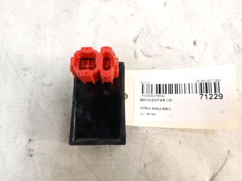 Module allumage ecu unite - allumage,