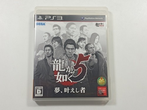 Ryu gotoku yume - ryu, ga