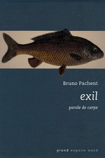 Exil : parole de carpe