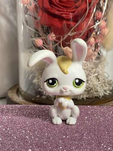 Petshop lapin garenne - 🌺petshop,