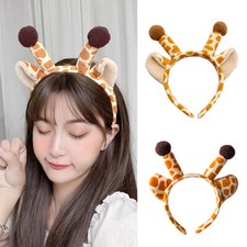 Cerceau De Tête De Festival