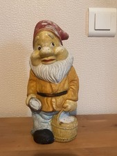 Nain De  Jardin  En Terre