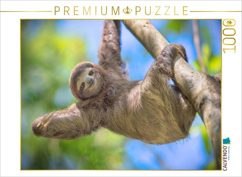 Calvendo puzzle ein - calvendo,