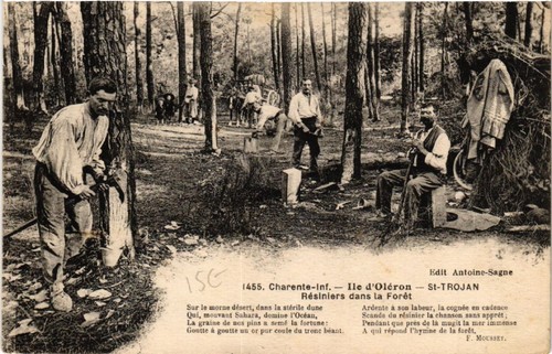 Cpa ile oléron st trojan - ile, st-trojan