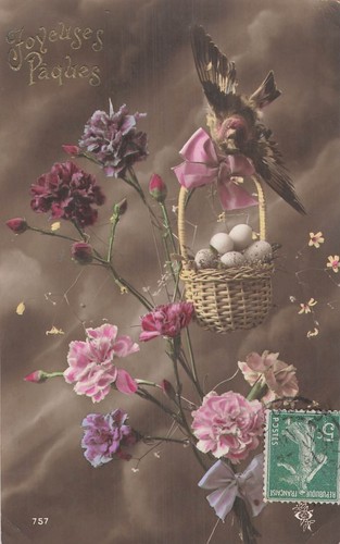 Easter carnations flowers - carnations,