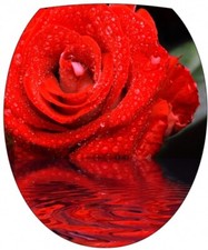 Stickers WC, stickers abattant