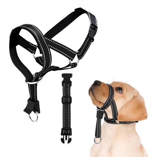 Muselière pour chien harnais - chien,,