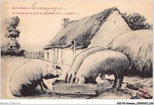 AIDP5-ANIMAUX-0398 - en