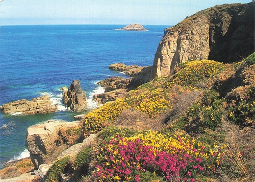 Cap frehel lande - lande, des