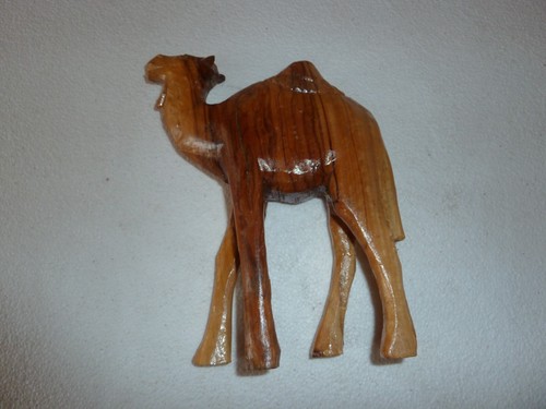 Beau dromadaire africain - , en