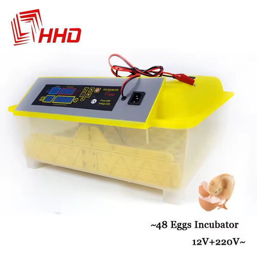 Yz8 automatic egg incubator - egg,