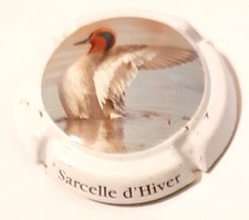 Capsule Sarcelle d'Hiver
