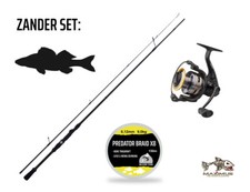 Ensemble de prédateurs