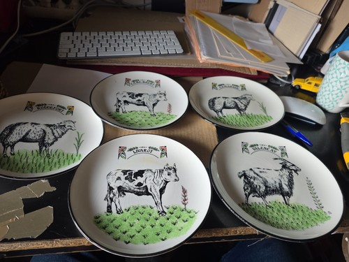 Lot assiettes fromage - lot,
