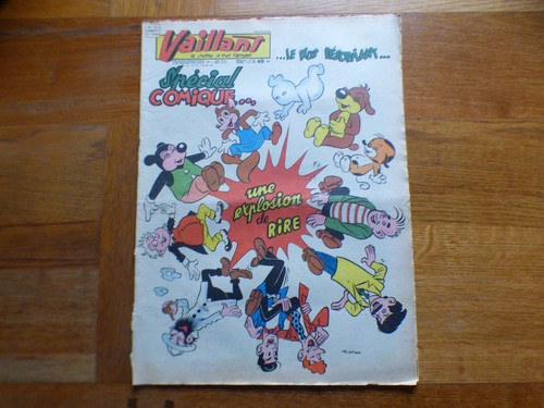 Vaillant journal plus - vaillant,