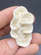 1.97'' / 5 cm - Très jolie