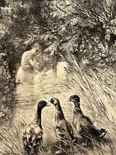 CURIOSA Suprise FELIX BRACQUEMOND Gravure EAU FORTE Canards Femme Bain XIX°