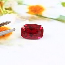 AAA+ Naturel Mozambique Pigeon