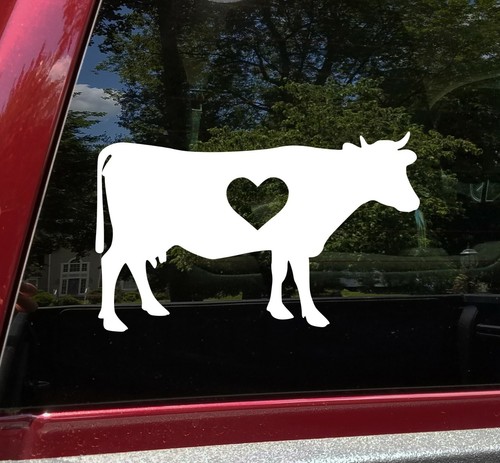 Cow heart love - heart,