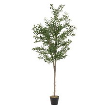 Olivier artificiel plante
