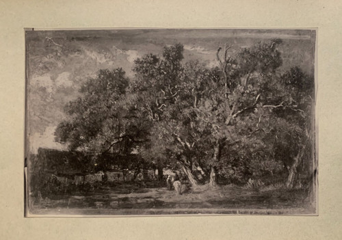 Rare photographie vers - photographie, 1900