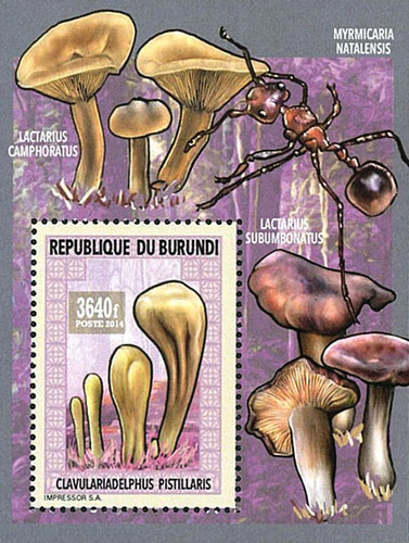 Stamps burundi 2014 perf - stamps,