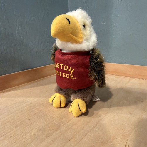 Boston college chelsea - college,