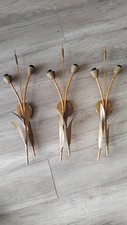 Anciennes appliques X3 Roseaux