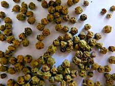 POIVRE VERT DE MALABAR 25 g