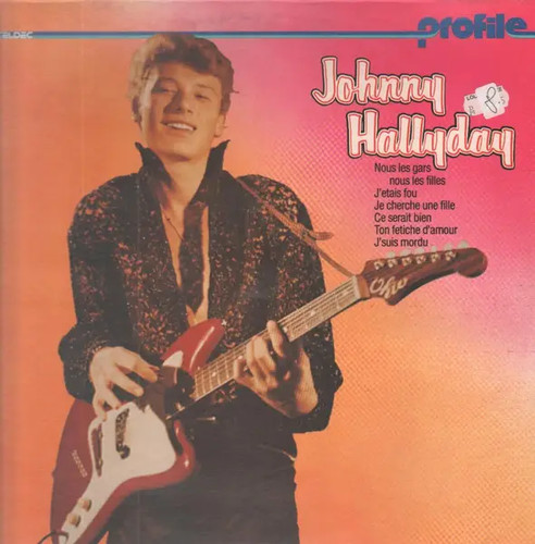 Johnny hallyday profile vinyle - johnny,