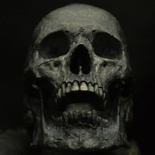 skull ring silver  medium size