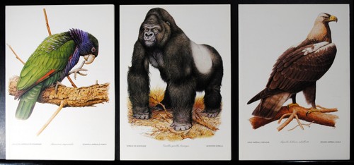 Menu air france wwf - 3,