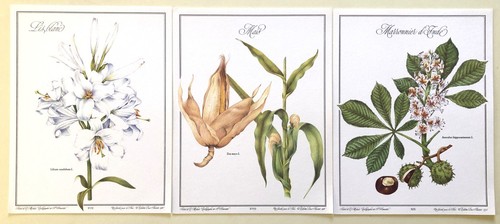 Lot illustrations en - lot,