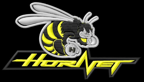 Honda hornet bee 600 - hornet, cb