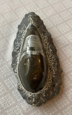 fossile poli  orthoceras ?