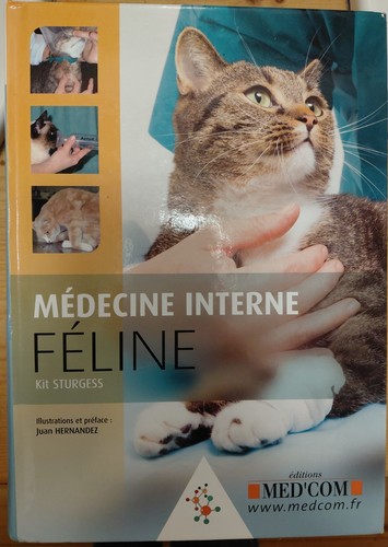 Médecine interne féline