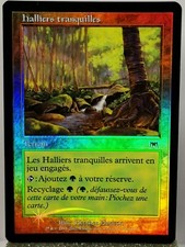 Magic - MTG - Halliers Tranquilles FOIL Carnage - Common - Terrain - NM