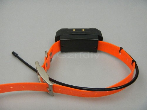 Garmin dc40 gps - garmin, dog