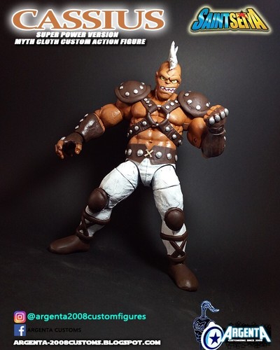 Order saint seiya - saint, custom