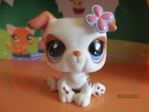 Petshop chien bouledogue 2106 - petshop,