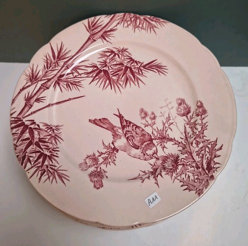 Assiette longwy modèle - assiette,