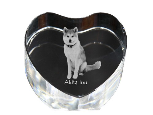 Akita inu hundebild - -,