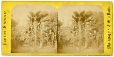 Stereo, France, Paris, Lampes palmiers du Jardin Mabille aux Champs-Elysées, cir