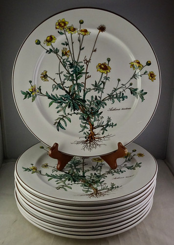 Villeroy boch botanica - 10,