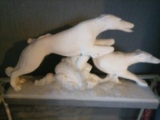 Couple de Lévriers Sautant en