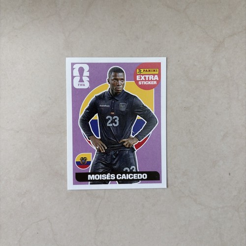 Carte panini coupe monde - panini, du