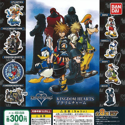 Disney kingdom hearts acrylic - hearts,