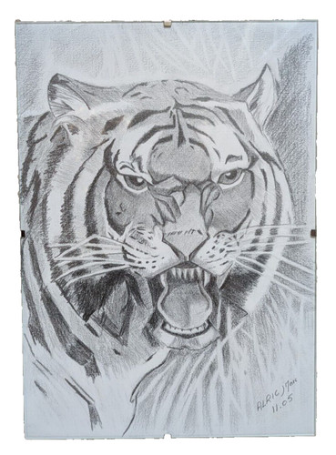 Dessin signé tigre - signé, tigre-